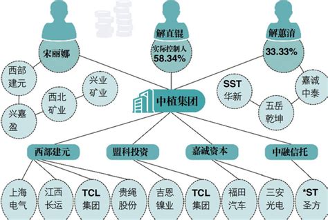 中植系的中央靠山是谁|中植企业集团